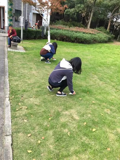 98db0ea.jpg